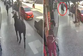 Firari Angus Vatandaşı Yaraladı!