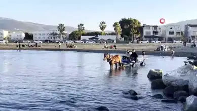 At Arabasıyla Deniz Keyfi: Hatay'da İlginç Bir Gün!