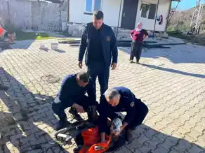 Atık Su Borusunda Sıkışan Buzağı Kurtarıldı
