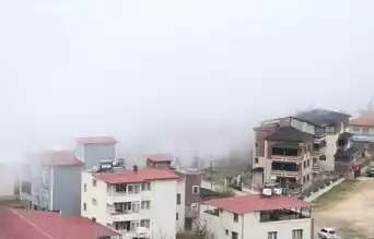 Sis, Güneydoğu İlçesinde Hayatı Felç Etti