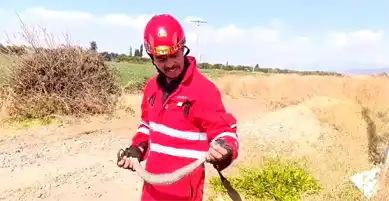 Dörtyol'da Bahçeye Giren Yılan Yakalandı