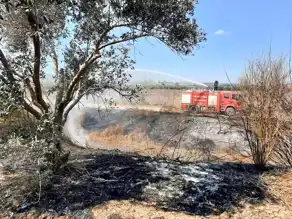 Erzin'deki Sazlık Yangını Kontrol Altında