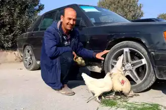 Hatay'da İlginç Satış: Araba, Horoz ve Tavuk Birlikte!
