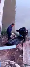 Hatay'da Asi Nehri'nde Ceset Bulundu