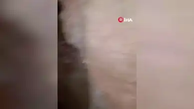 Hatay'da İnşaat Kazısında Antik Kaya Mezarları Bulundu