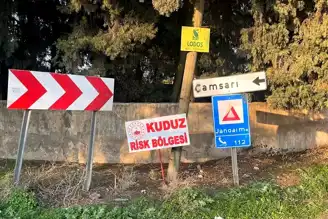 Hatay'da Kuduz Tehlikesi: Mahalle Karantinada