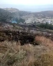 Hatay Antakya'da Makilik Alanı Yandı