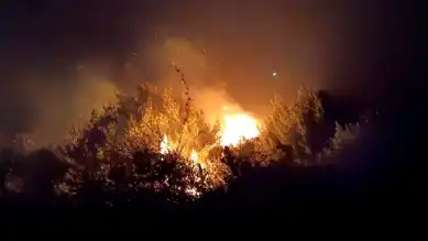 Hatay Samandağ'da Zeytinlik Yangını Sönmüştür