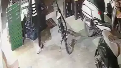 Fırından Telefon ve Para Çalan Kadın Tutuklandı