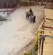 Patpat Kazası: 10 Yaşındaki Çocuk Yaralandı