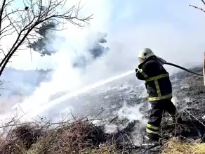 İskenderun'da Bahçe Yangını Söndürüldü