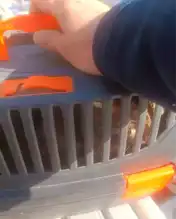 İskenderun'da Ağaçta Mahsur Kalan Kedi Kurtarıldı