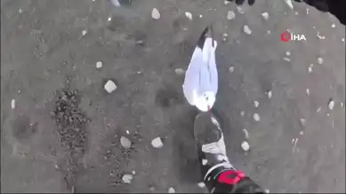 Motosikletle Yaralı Martıyı Kurtardı!