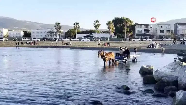 At Arabasıyla Deniz Keyfi: Hatay'da İlginç Bir Gün!