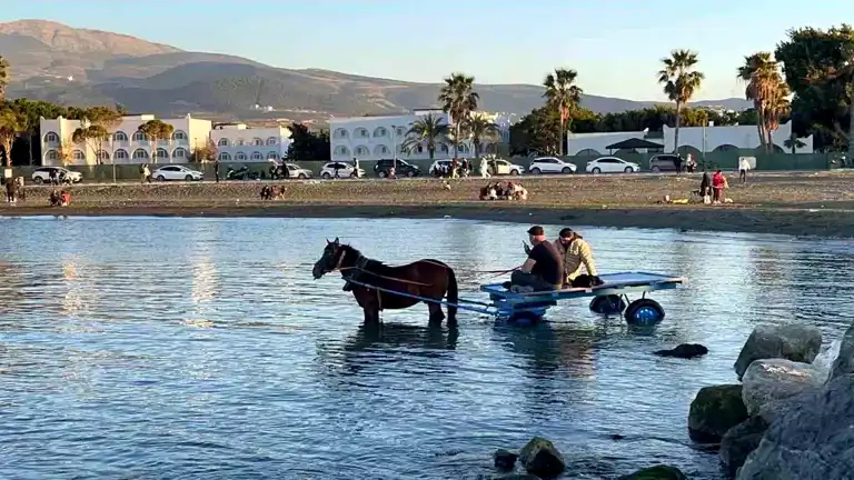 Hatay'da At Arabasıyla Denize Giriş!