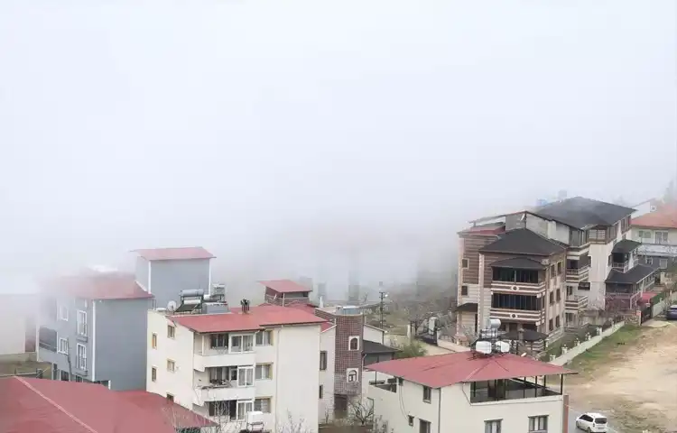 Sis, Güneydoğu İlçesinde Hayatı Felç Etti