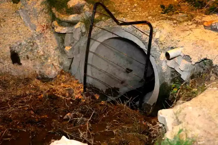 Buzağı Kanalizasyonda! İtfaiye Kurtardı