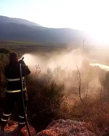 Yayladağı'ndaki Zeytinlik Yangını Sönmüştür